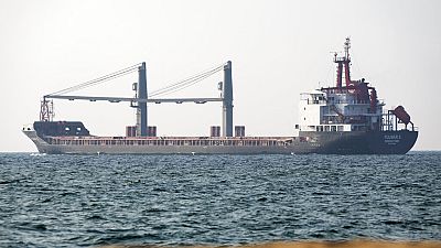 Frachter Fulmar S mit 12.000 Tonnen Mais an Bord