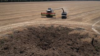 Récolte du blé dans le Donbass, en Ukraine