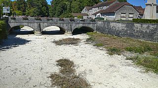 El río Tille está seco a su paso por el municipio de Lux (Francia).