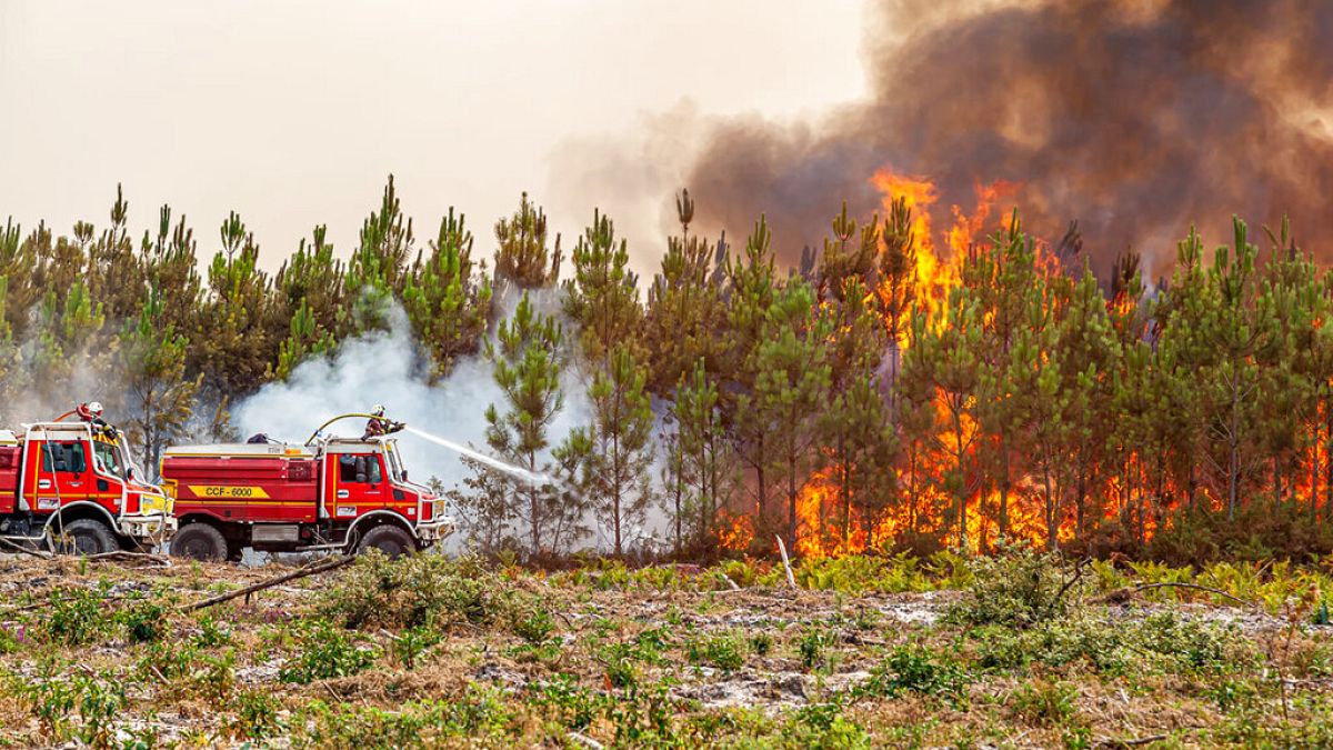 A kép illusztráció - erdőtüzet oltanak francia tűzoltók Gironde megyében