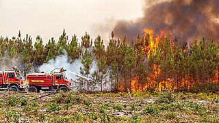 A kép illusztráció - erdőtüzet oltanak francia tűzoltók Gironde megyében