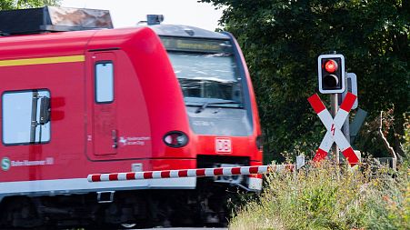 A commuter train passes a level crossing. Regional trains are included as part of Germany's €9 pass, which has boosted rail travel