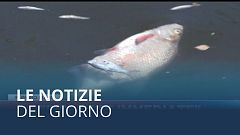 Le notizie del giorno | 15 agosto - Serale