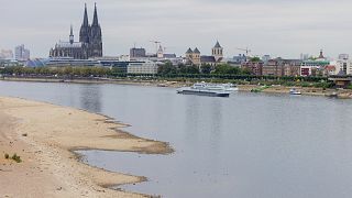 Niedriger Pegelstand des Rheins am 15. August in Köln