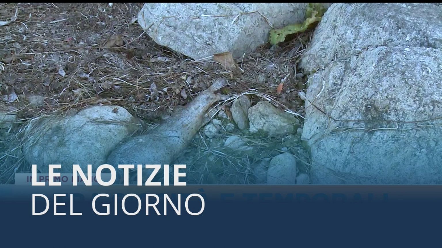 Le notizie del giorno | 16 agosto - Mattino