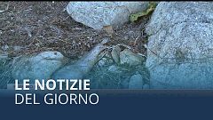 Le notizie del giorno | 16 agosto - Mattino