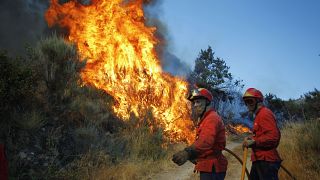 Flames encroach on homes as fires force evacuations in Serra da Estrela