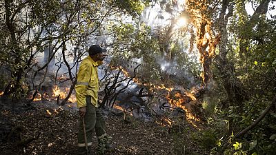 Maroc : 3 pompiers meurent dans un feu de forêt présumé criminel