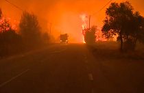 Лесной пожар в Португалии.