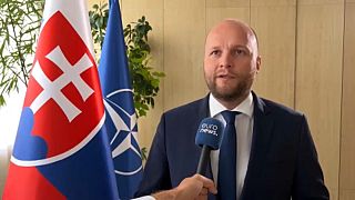 Le ministre slovaque de la Défense Jaroslav Nad' interrogé par Euronews.
