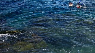 Un Libanais plonge pour pêcher sur le littoral de Beyrouth, au Liban - mai 2016