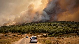 Plus de 120 hectares de forêts brûlés dans le nord du Maroc