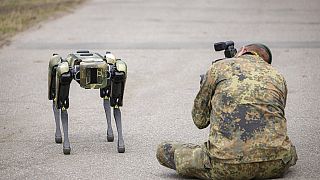 Немецкий Бундесвер использует похожего робота для разведки и наблюдения