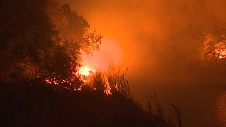 Le feu ravage des hectares de la Serra da Estrela au Portugal