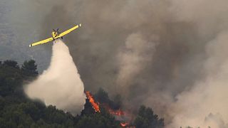 В течение года в Испании сгорели 275 000 гектаров. В Португалии огнём объят природный парк Серра-да-Эштрела.