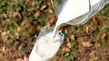 New research has found a potential link between dairy milk consumption and healthier brain ageing,