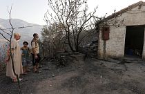 حرائق الغابات في الجزائر أصبحت ظاهرة تتزايد كل عام بسبب التغير المناخي