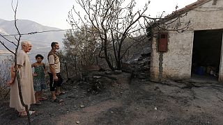 حرائق الغابات في الجزائر أصبحت ظاهرة تتزايد كل عام بسبب التغير المناخي
