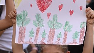 Húngaros protestam para salvar a floresta