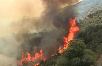 Des incendies ravageurs frappent le nord de l'Algérie, le mercredi 17 août 2022.