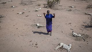 Worsening drought threatens lives in western Kenya