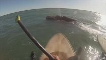 Nur wenige Meter von den Paddlern entfernt schwammen die Wale