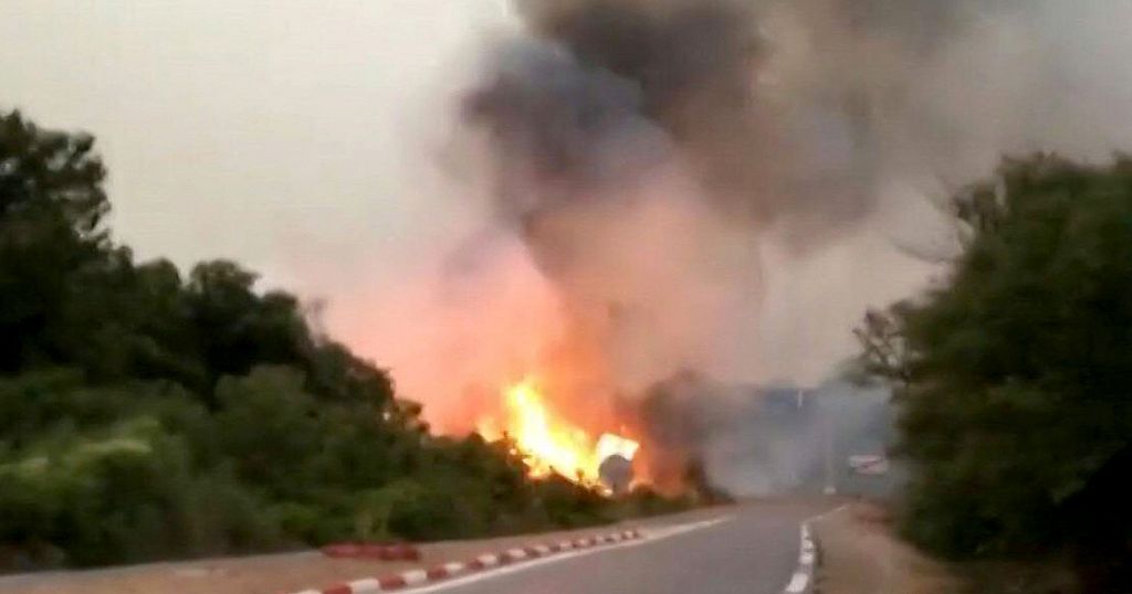 Algeria: Death toll from forest fires rises to at least 38 - Vimarsana News