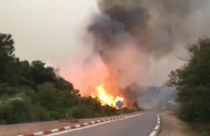 حرائق غابات في الجزائر