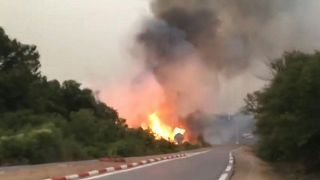 حرائق غابات في الجزائر