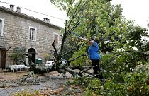 A woman starts to cut a tree which fell down in Marato, close to Cognocoli Monticchi after strong winds on the French Mediterranean island of Corsica on August 18, 2022