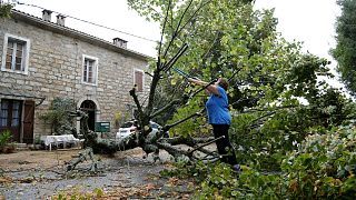 A woman starts to cut a tree which fell down in Marato, close to Cognocoli Monticchi after strong winds on the French Mediterranean island of Corsica on August 18, 2022