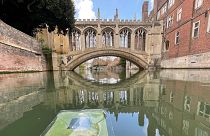 The floating artificial leaf in the River Cam, near St John's College Cambridge
