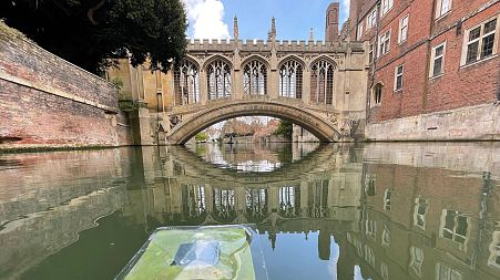 The floating artificial leaf in the River Cam, near St John's College Cambridge