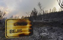 Una señal carbonizada durante un incendio forestal cerca de Bejís, en el este de España