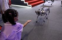 نمایشگاه رباتیک در چین