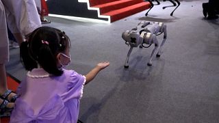 Highlights of the annual World Robot Conference in Beijing. 