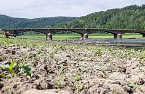 Térdig érő vízben áll az Asel híd az Eder tavon, a németországi Vöhl közelében