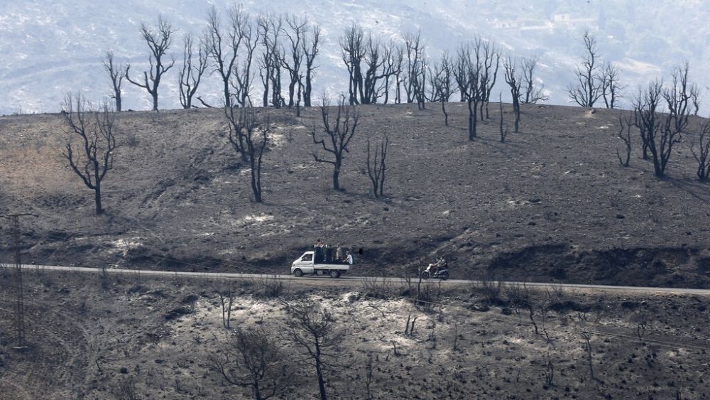 Devastadores incendios forestales: muchos muertos en Argelia y pánico en el tren regional en España