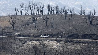 Ein Auto fährt durch eine von Bränden gekennzeichnete Landschaft