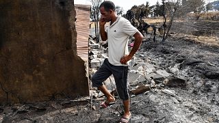 Raging fire kills at least 38 in Algeria
