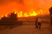 الحرائق تشتعل في غابة بمدينة جوفيا البرتغالية 18/08/2022