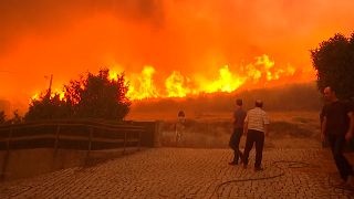 الحرائق تشتعل في غابة بمدينة جوفيا البرتغالية 18/08/2022