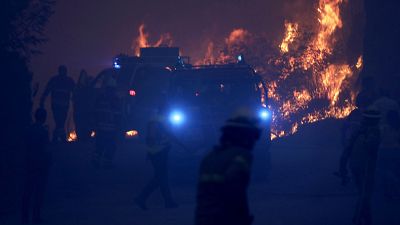 Pompiers dans le parc national de Serra da Estrela au Portugal