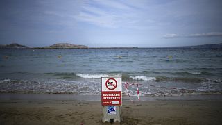 "Купание запрещено": на пляже под Марселем ветер и волны нанесли слишком много мусора