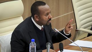 Ethiopia unveils plan to end war, calls for ceasefire with Tigray rebels