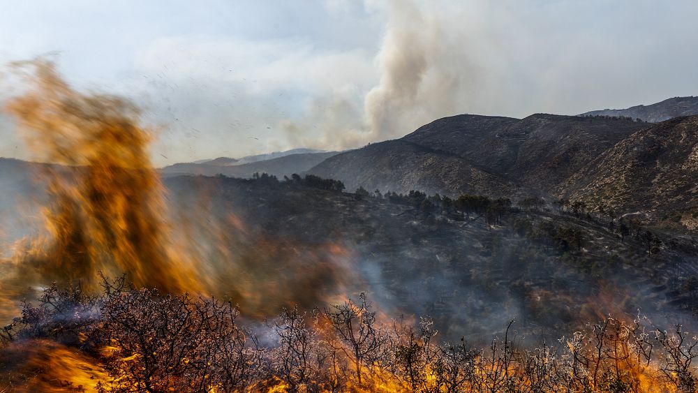 Los incendios forestales siguen causando estragos en el sur de Europa