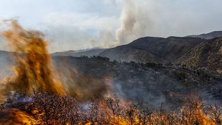 In der spanischen Provinz Valencia wüten weiterhin die Waldbrände