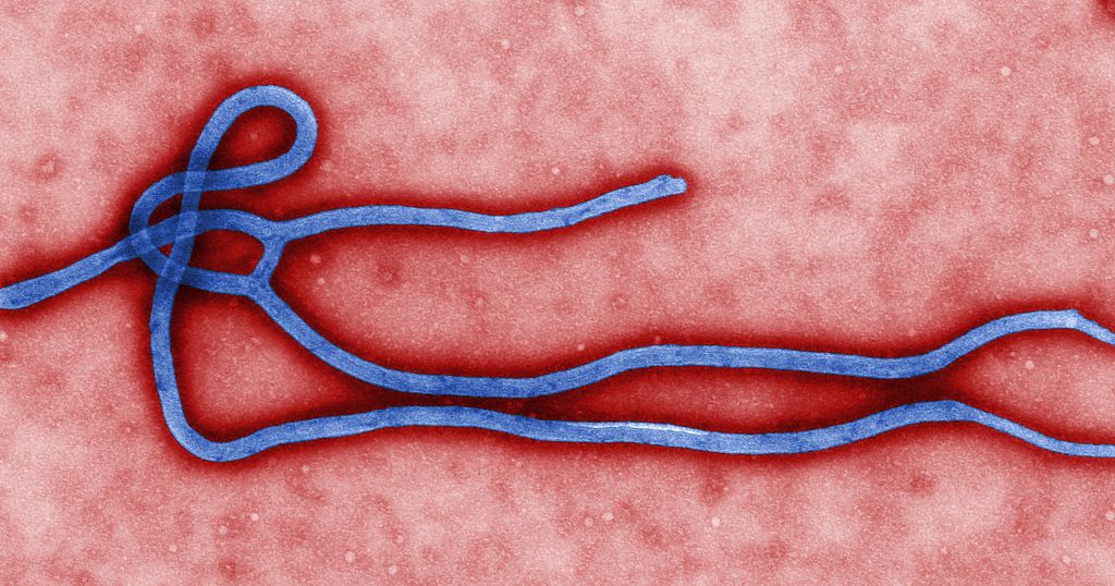 WHO pushes two Ebola treatments found to boost survival rates