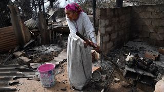 Algérie : des agriculteurs ont tout perdu dans les feux de forêts