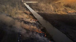Humedales ardiendo en Argentina